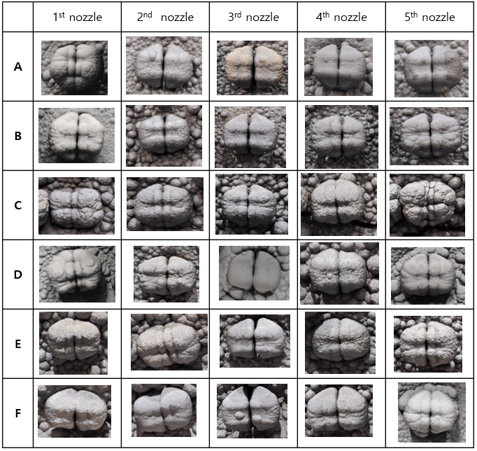 Photos of all 30 nozzles after SiC coating process, showing the proof that they were not clogged by the deposition.